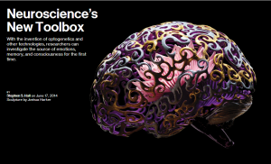 neuroscience brain